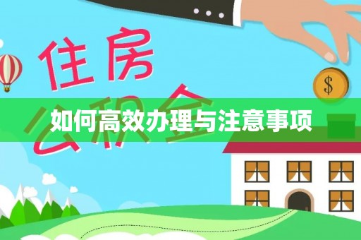 衡水如何高效办理与注意事项