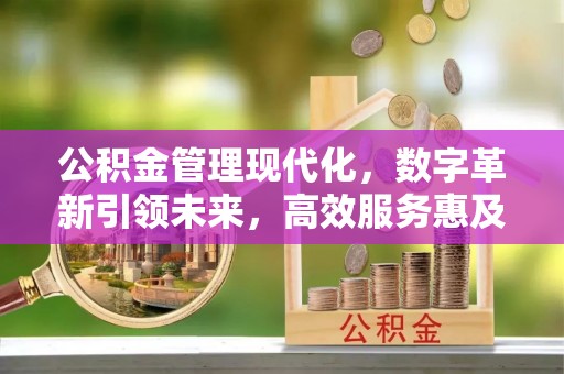 衡水公积金管理现代化，数字革新引领未来，高效服务惠及民生