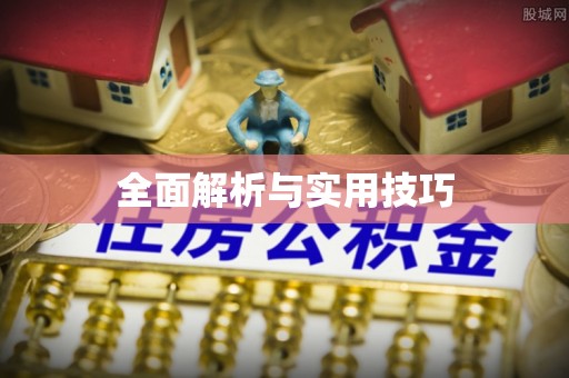 衡水全面解析与实用技巧