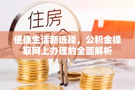衡水便捷生活新选择，公积金提取网上办理的全面解析