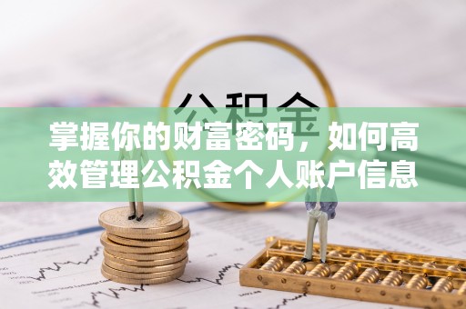 衡水掌握你的财富密码，如何高效管理公积金个人账户信息