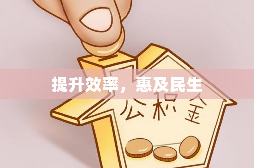 衡水提升效率，惠及民生
