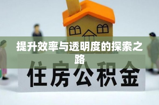 衡水提升效率与透明度的探索之路