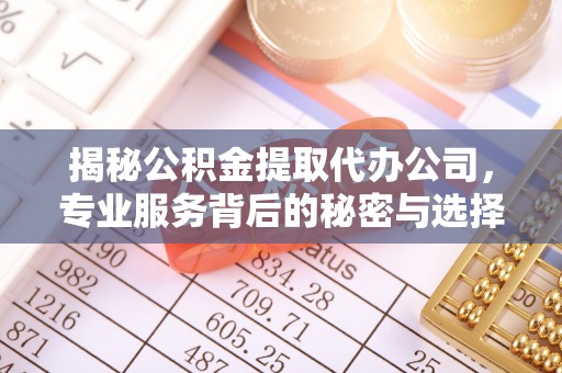 衡水揭秘公积金提取代办公司，专业服务背后的秘密与选择指南