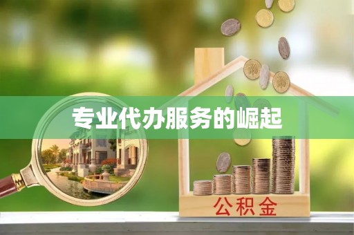 衡水专业代办服务的崛起