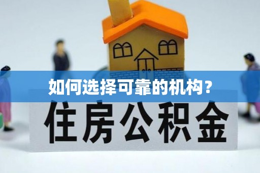 衡水如何选择可靠的机构？