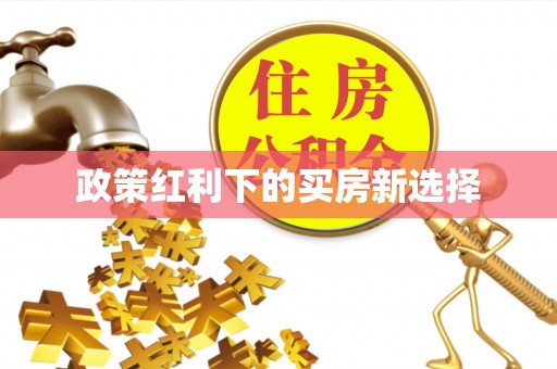 衡水政策红利下的买房新选择