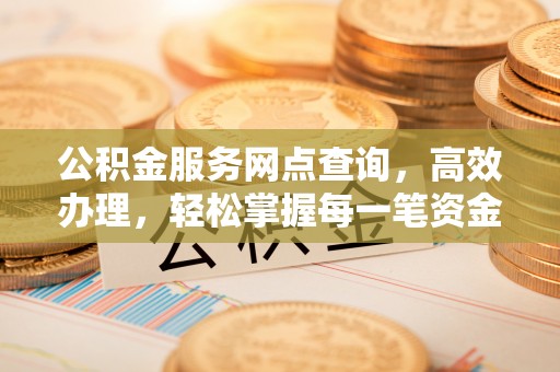 衡水公积金服务网点查询，高效办理，轻松掌握每一笔资金动态
