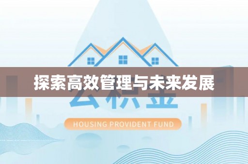 衡水探索高效管理与未来发展