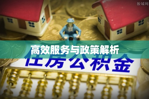 衡水高效服务与政策解析