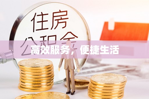 衡水高效服务，便捷生活
