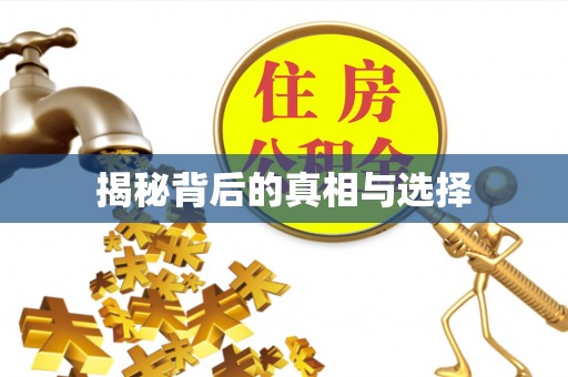 衡水揭秘背后的真相与选择