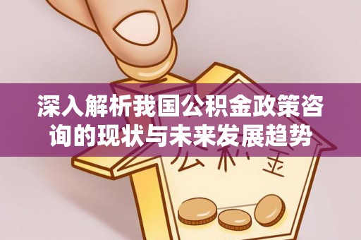 衡水深入解析我国公积金政策咨询的现状与未来发展趋势