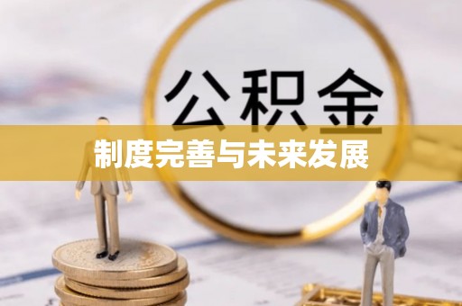 衡水制度完善与未来发展