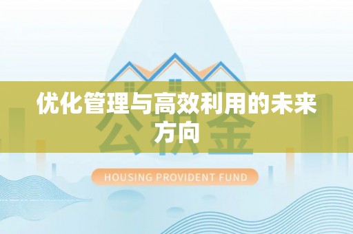 衡水优化管理与高效利用的未来方向