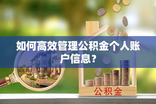 衡水如何高效管理公积金个人账户信息？