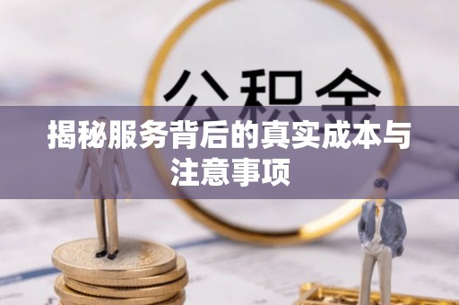 衡水揭秘服务背后的真实成本与注意事项