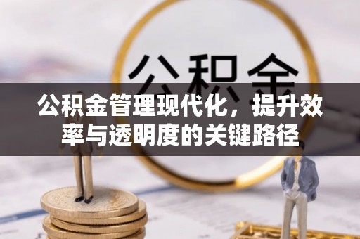 衡水公积金管理现代化，提升效率与透明度的关键路径