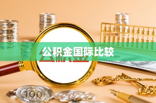 衡水公积金国际比较