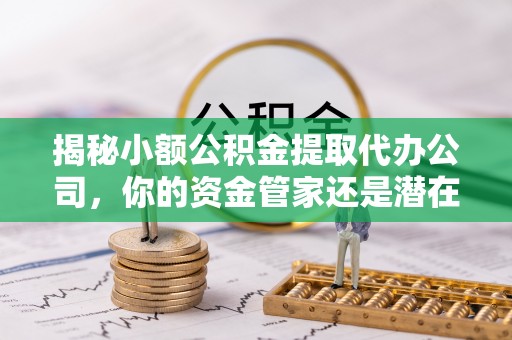 衡水揭秘小额公积金提取代办公司，你的资金管家还是潜在风险？