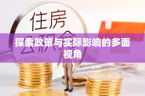 衡水探索政策与实际影响的多面视角