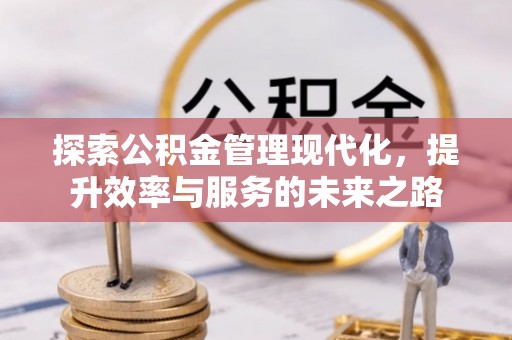 衡水探索公积金管理现代化，提升效率与服务的未来之路