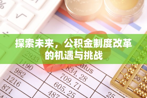 衡水探索未来，公积金制度改革的机遇与挑战
