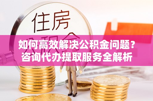 衡水如何高效解决公积金问题？咨询代办提取服务全解析
