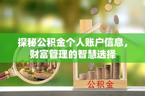 衡水探秘公积金个人账户信息，财富管理的智慧选择
