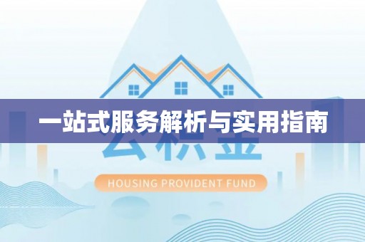 衡水一站式服务解析与实用指南