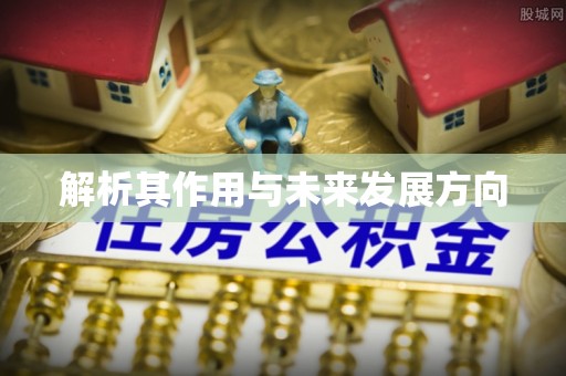 衡水解析其作用与未来发展方向