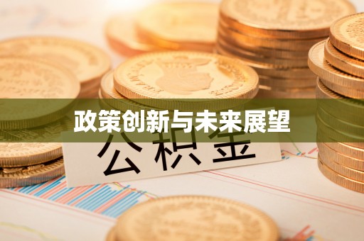 衡水政策创新与未来展望