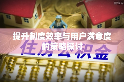 衡水提升制度效率与用户满意度的策略探讨